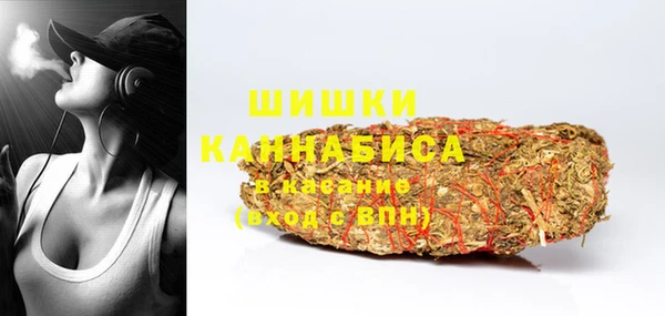 PSILOCYBIN Алзамай