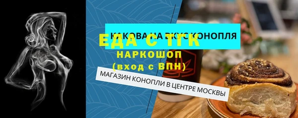 индика Алексин
