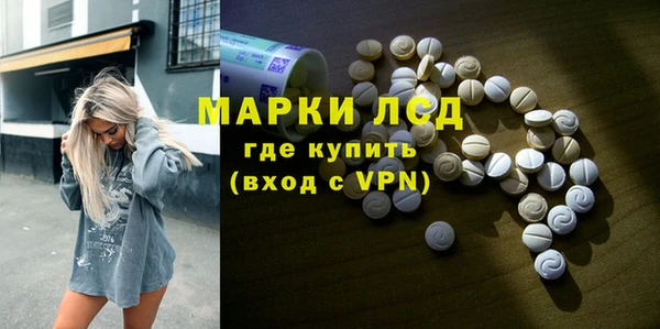 индика Алексин